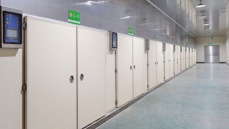 Выводная камера для цыплят