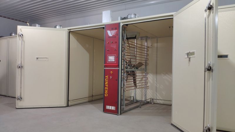 Выводные камеры S-Line