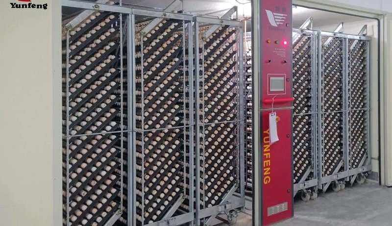 Промышленный инкубатор для птицеводства